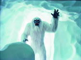 Matterhorn Bobsleds Matterhorn Bobsleds
