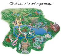 Disney's Animal Kingdom® Theme Park