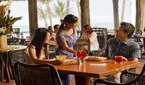 Dining experience in tropical setting