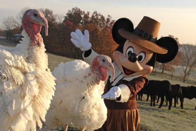 Disney Thanksgiving
