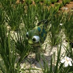 Look for some underwater friends in the gardens, some of them camouflaged like this little guy!