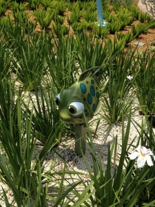Look for some underwater friends in the gardens, some of them camouflaged like this little guy!