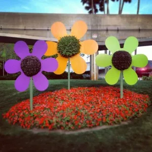 Flowers from Epcot's Flower and Garden Festival