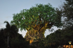 Tree of Life at Dusk