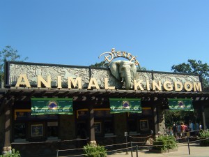 Disney's Animal Kingdom Theme Park