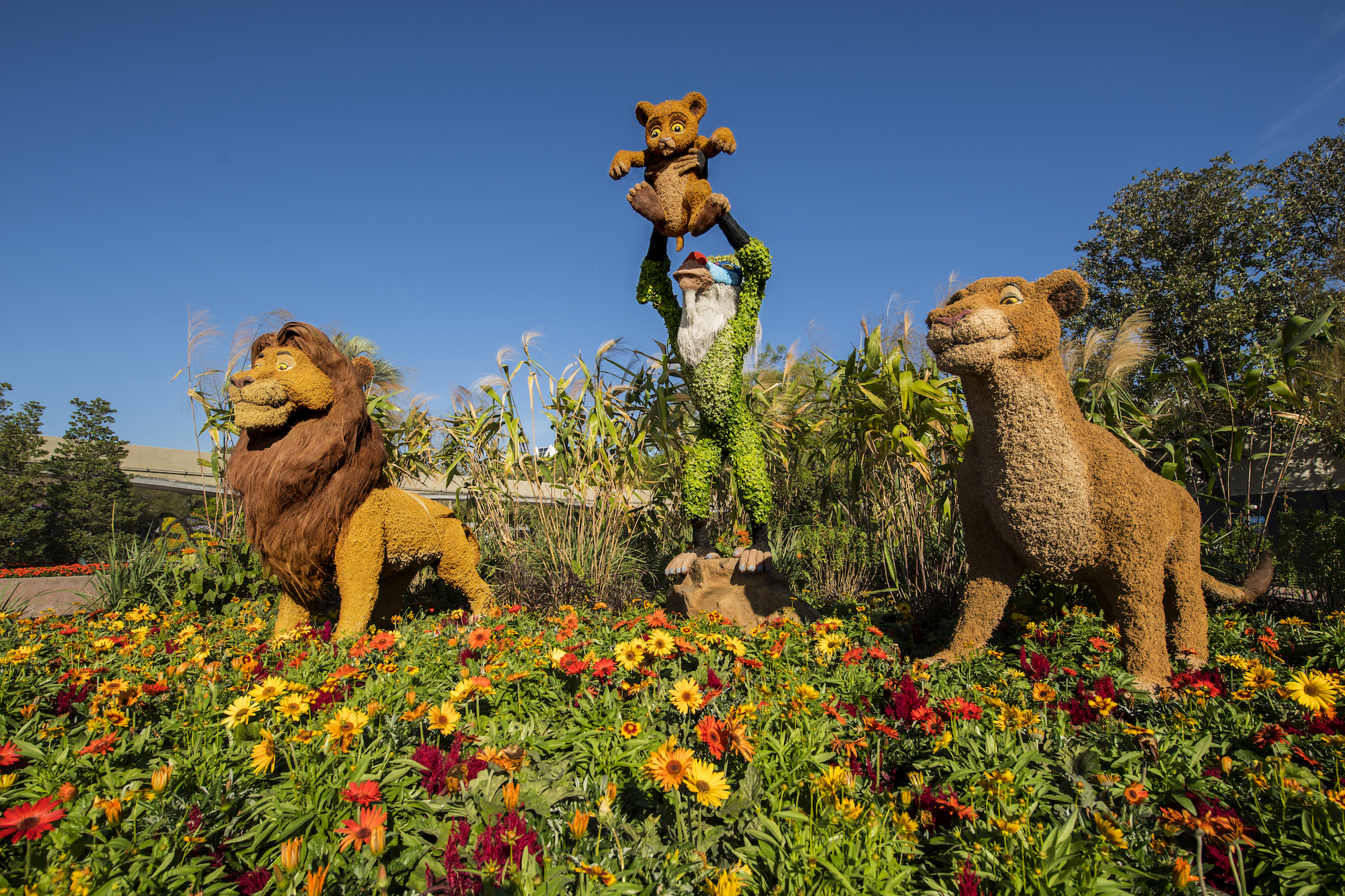 Epcot Flower and Garden Festival