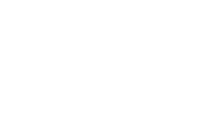 Travel Leaders Network President's Circle Logo all in white