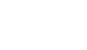 Travel Leaders Network President's Circle Logo all in white